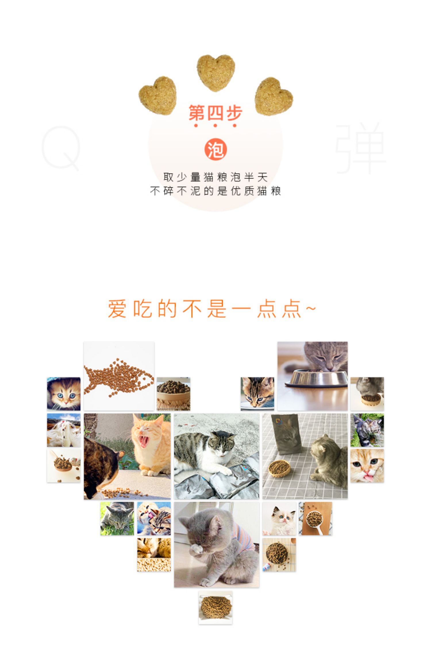 5 kg tất cả độ tuổi cá muối đại dương thấp tự nhiên 500g thức ăn cho mèo nhỏ - Cat Staples hạt royal canin cho mèo