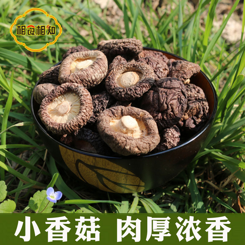 Fujian small shiitake mushrooms dry goods 100g edible mushrooms Edible Mushrooms mushrooms dried farmhouse High-quality Winter Mushrooms Money Mushrooms Meat Thick