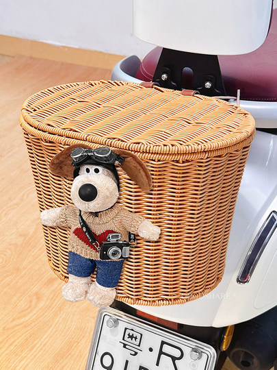Electric Bike Rear Basket with Cover, Cute Cartoon Design, Large Capacity, Storage for Electric Scooter, Helmet Holder, Storage Solution