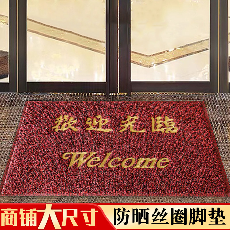 Silk circle welcome to enter and exit safe floor mats sun protection thickened entrance hall dust removal non-slip custom carpet