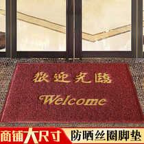 Silk ring Welcome to enter and exit Pingan floor mat Foot mat Sunscreen thickened door foyer dust removal non-slip custom carpet