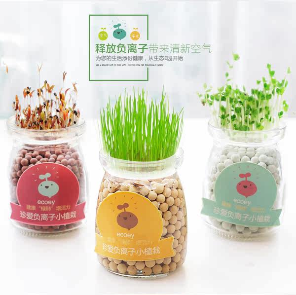 ECOEY 迷你水培小盆栽*2盆  优惠券折后￥7.9包邮（￥10.9-3）多种植物可选