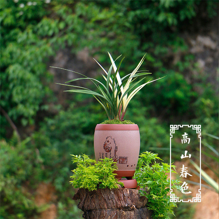 Детали весенних пейзажей гор - (5) .jpg