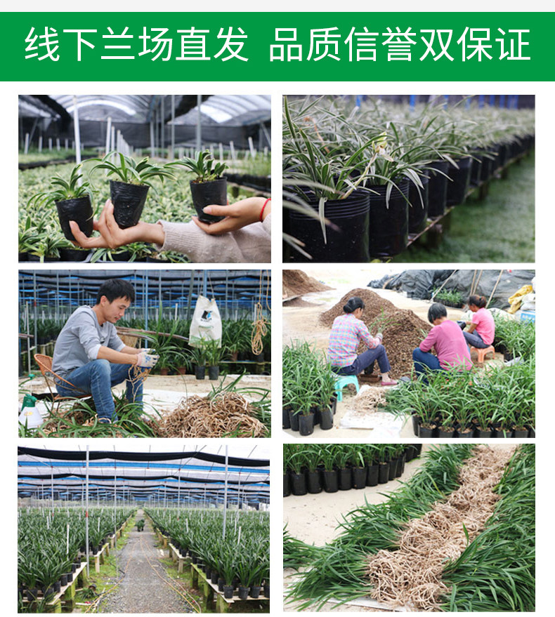 Капитал (2) .jpg