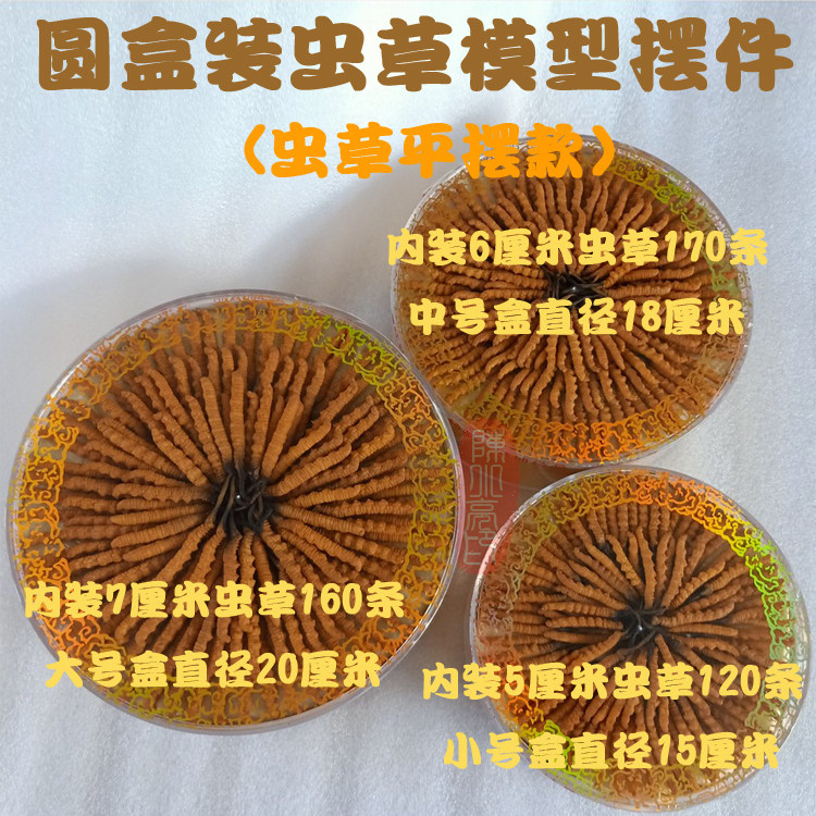 Round boxed Caterpillar Fungus Model Pendulum of Caterpillar Fungus Overall Cupboard Display shop Soft Props Shoot Handicrafts