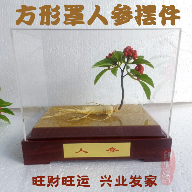 Square acrylic cover with whole ginseng ornaments with branches and leaves ginseng ornaments shop decoration decoration ornaments