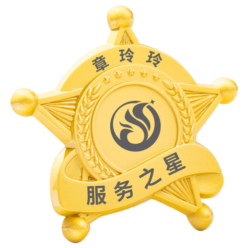 徽章定制公司:优秀员工胸章,企业Logo,金属荣誉校徽班徽勋章,如何选择?-个性徽章/吧唧定制-淘宝好物网