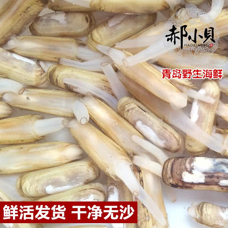 鲜活双头蛏子2斤 | 超大个无沙刀蚬子,海鲜控必囤!-蛏子-淘宝百科网