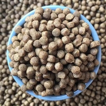 Special butterfly carp feed for your own fishery