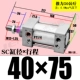 ZSC40*75-S магнитный