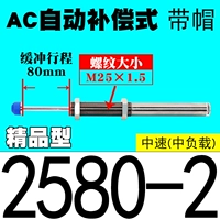 Бутик автоматический компенсационный тип AC2580-2 [Caps]