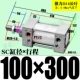 ZSC100*300-S с магнитом