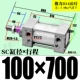 ZSC100*700-S с магнитом