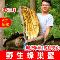 21 years of honeycomb honey wild Qinling soil honey pure natural farmhouse self-produced old honeycomb Baihua honey chewing to eat