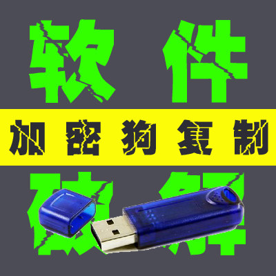 Dongle encryption lock algorithm authorization key authorization point registration code replication simulation clone