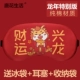 Fortune Xinglong