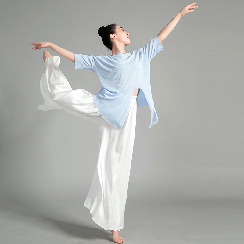 Modern latin jazz ballet practice costume dance suit female adult split-knotted perspective loose top