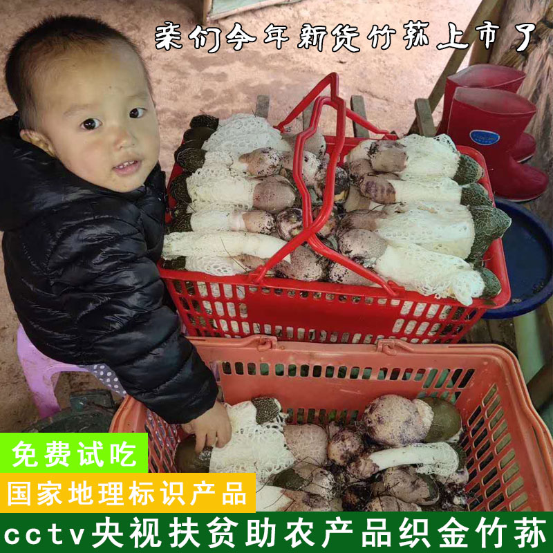 Guizhou specie short dress red care gold bamboo sheng dry goods no sulphur selected bamboo sheng meat thickness 50g natural delicious new stock