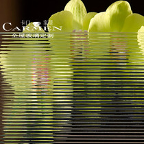 Wick pattern three-dimensional art embossed glass partition wall Ultra-white Changhong corrugated frosted tempered striped glass customization