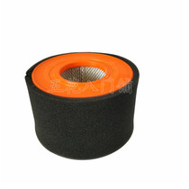 Applicable to NMG-4 rail mill M165 two-stroke engine domestic air filter