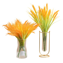 Barley Real Flower Rice Ears Rice Paddy Wheat Ears Valley Subplastic Rice Paddy Rice Rice Rice Valley Open Decorated with Scenery Dancing Props