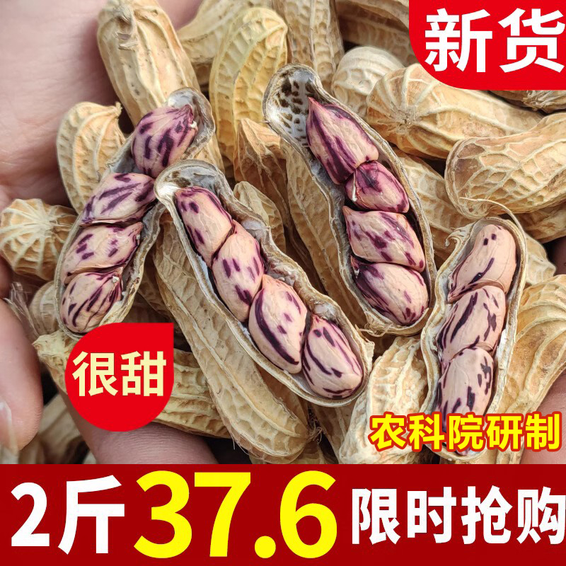 New goods Yunnan colorful peanuts with shell raw and cooked colorful wild peanut rice black peanut seeds special grade Pu'er specialty