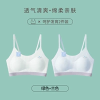 【Slim Phoulm Strap】 Зеленый + синий (латексные подставки/антибактериальные и анти-миты)