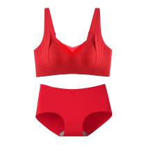 Cat Mans Year of the Dragon Red Underwear Set for Women 2024 Year of the Dragon Bride Wedding Gift Big Breast Lift-Up Showing Small Bra
