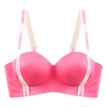 猫人无痕内衣女夏季聚拢小胸防下垂收副乳2024新款性感美背文胸罩