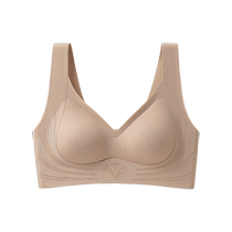 Catman underwear for women with small breasts push-up autumn and winter new style top support auxiliary breasts no wires machine washable traceless beautiful back bra