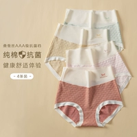 Модель 3 [4 настоящие излучатели из шелкового шелка незаконных бактериостатических киосков] А-карамельный цвет+порошок Daisy+сыр желтый+зеленый лайм