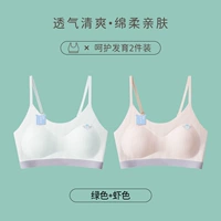 Зеленые антибактериальные бретели, цвета шампанского