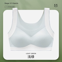 Светло -зеленый [Sport Shock Absorption/Adgonglege Legnure]