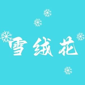 金华烟云女装的LOGO