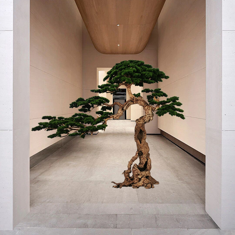 Large Emulation Plant Bonsai Chinese Courtyard Grilled Welcome Guest Pine True Trunks Cliff Palate Landscape