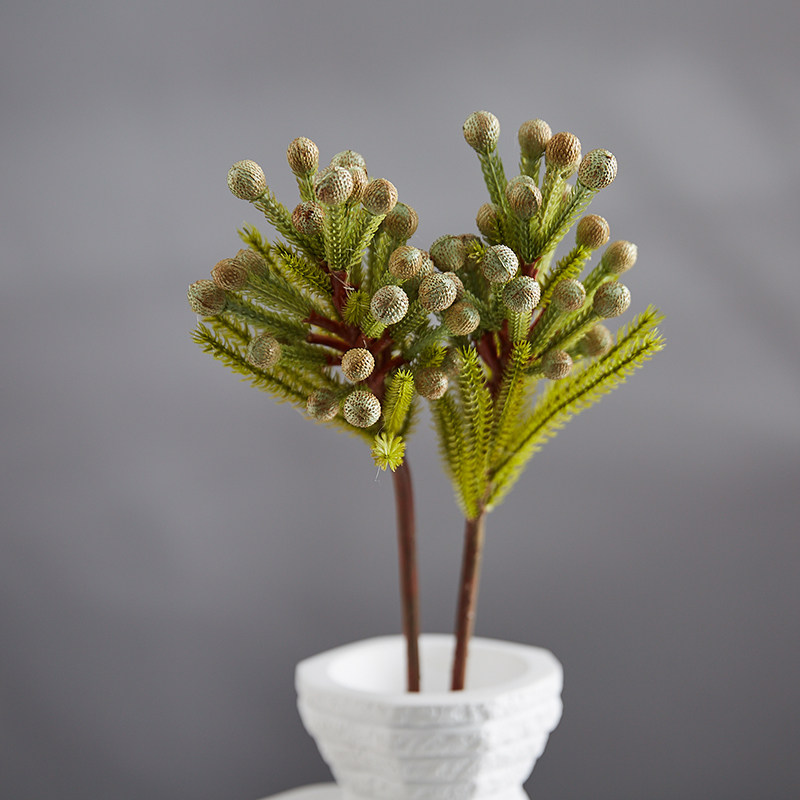 A spatial coral fruit simulation plant home living room model room TV cabinet decorated flower fake fixtures