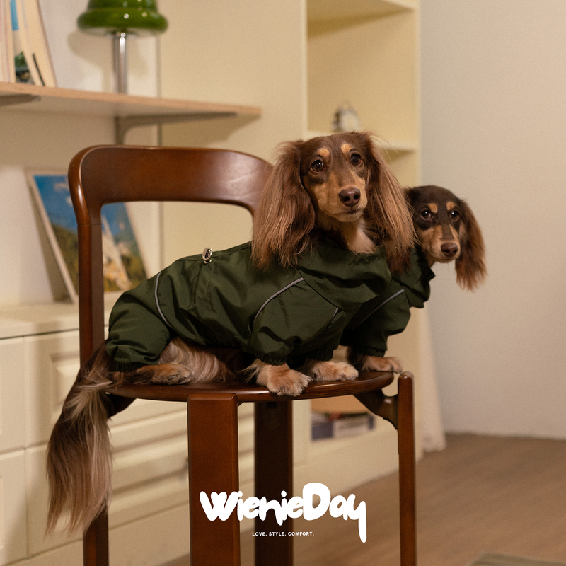 Wienieday Outdoor Waterproof Full-Cover Dachshund Jacket, Wear-Resistant Workwear Four-Legged Jacket, Raincoat, Outerwear