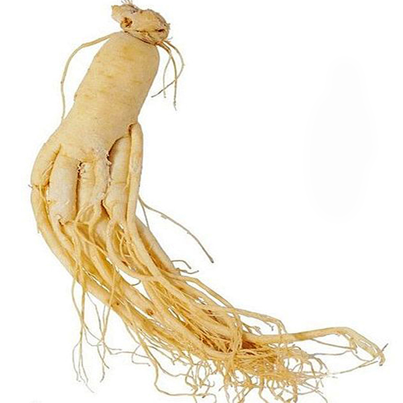Refreshing ginseng Long white Mountain Bagged Refreshing Ginseng Preservation Ginseng Refreshing Ginseng With Large Refreshing Ginseng Bulb Wine Ginseng