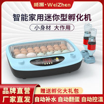 Incubator Rutin Chicken Incubator Small Household Fully Automatic Incubator Chick Duck Goose Egg Incubator