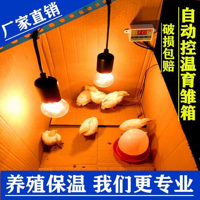 Chicken incubator brooder box automatic temperature control lamp constant temperature bird chicken duck goose quail breeding equipment incubator