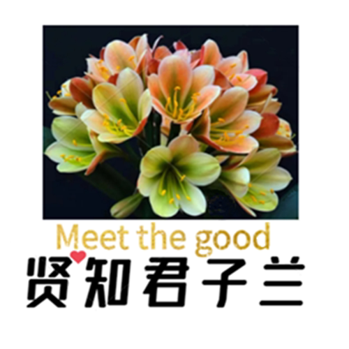 长春贤知君子兰
