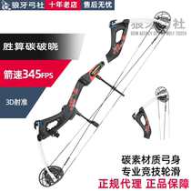 Victorious Carbon Breaking Composite Bow Carbon Light Yin 5 0 Litre Grade Carbon Bow Body High Speed Archery Equipment