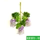 Mô phỏng Wisteria Hoa Đậu Hoa Chuỗi Violet Hoa lụa Trang trí Vine Vine Trần Wedding Fake Hoa Mây Tường Treo Hoa - Hoa nhân tạo / Cây / Trái cây