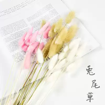 Tiger tail grass dried flower photo props ins wind still life shooting pendulum decoration food photography ornaments jewelry background
