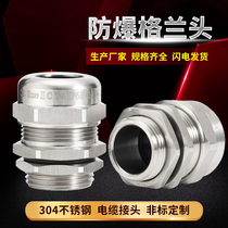 Stainless steel waterproof joint metal 304 cable connector PG9-11-16G1 2-3 4NPT1 explosion-proof granhead