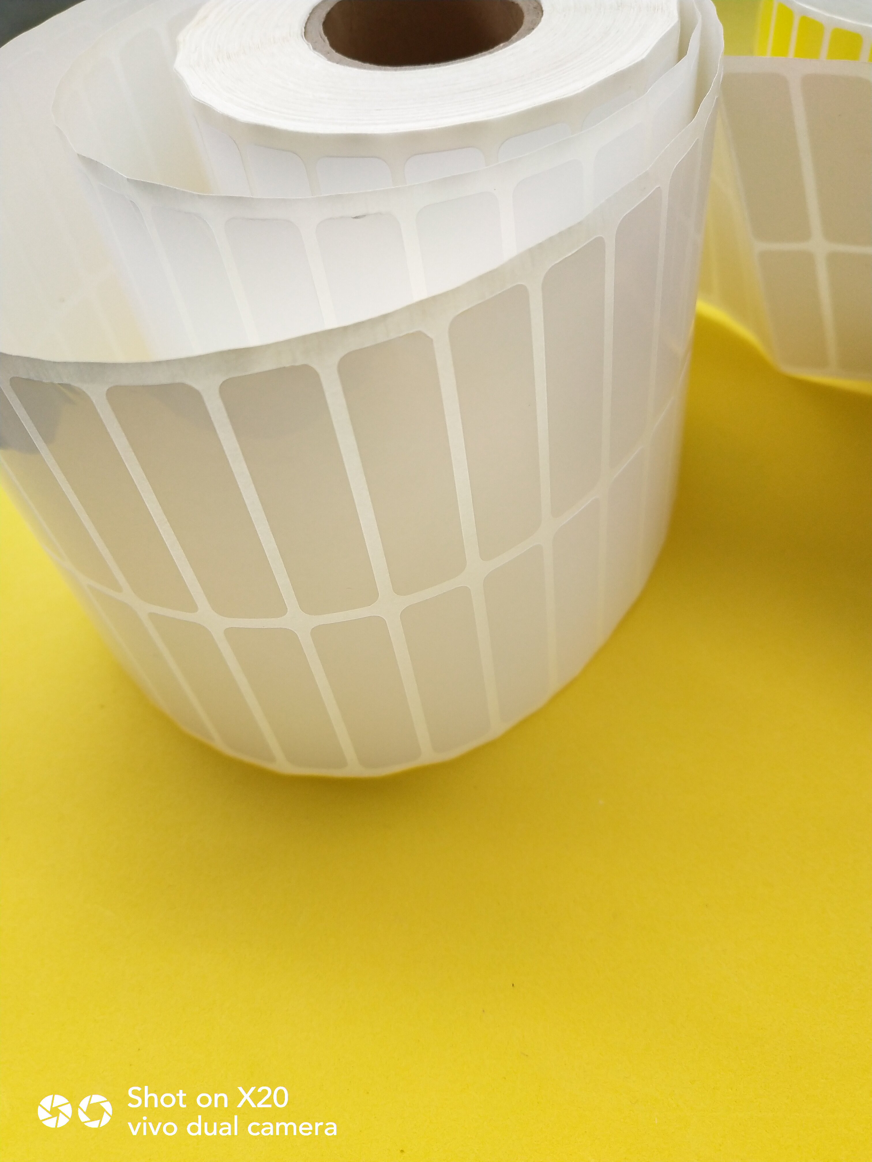 Blank Label Paper 35 10 Resistant Cryogenic -80 Waterproof Liquid Nitrogen Blood Bag Test Tube Frozen Handwriting Barcode Paper Stickup 