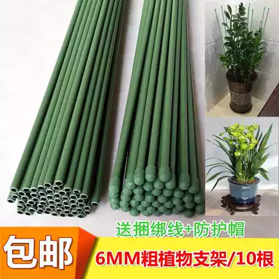 6mm plastic-coated hollow flower pole bracket wire moonlight money tree pole gardening wire climbing rattan bracket flower strut