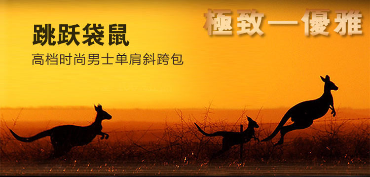 Sac pour homme - Ref 49993 Image 12