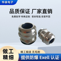 British G1 grade 2 stainless steel sealed waterproof joint cable clamping quick twist head dust explosion-proof gland