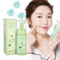 Alice Cottage deep cleansing makeup remover Foam water temperature and non-irritating full face eye and lip oil removal cleaning control green tea